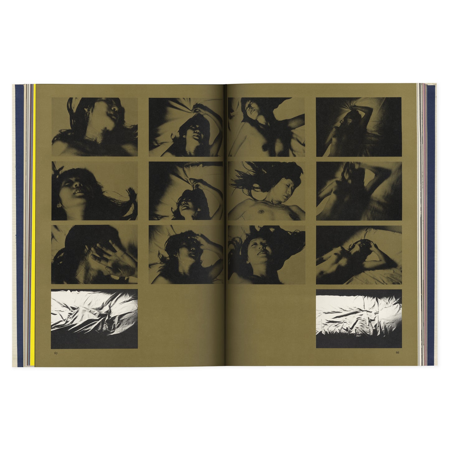 Photothèque Imaginaire de Shūji Terayama, Les Gens de la Famille Chien Dieu