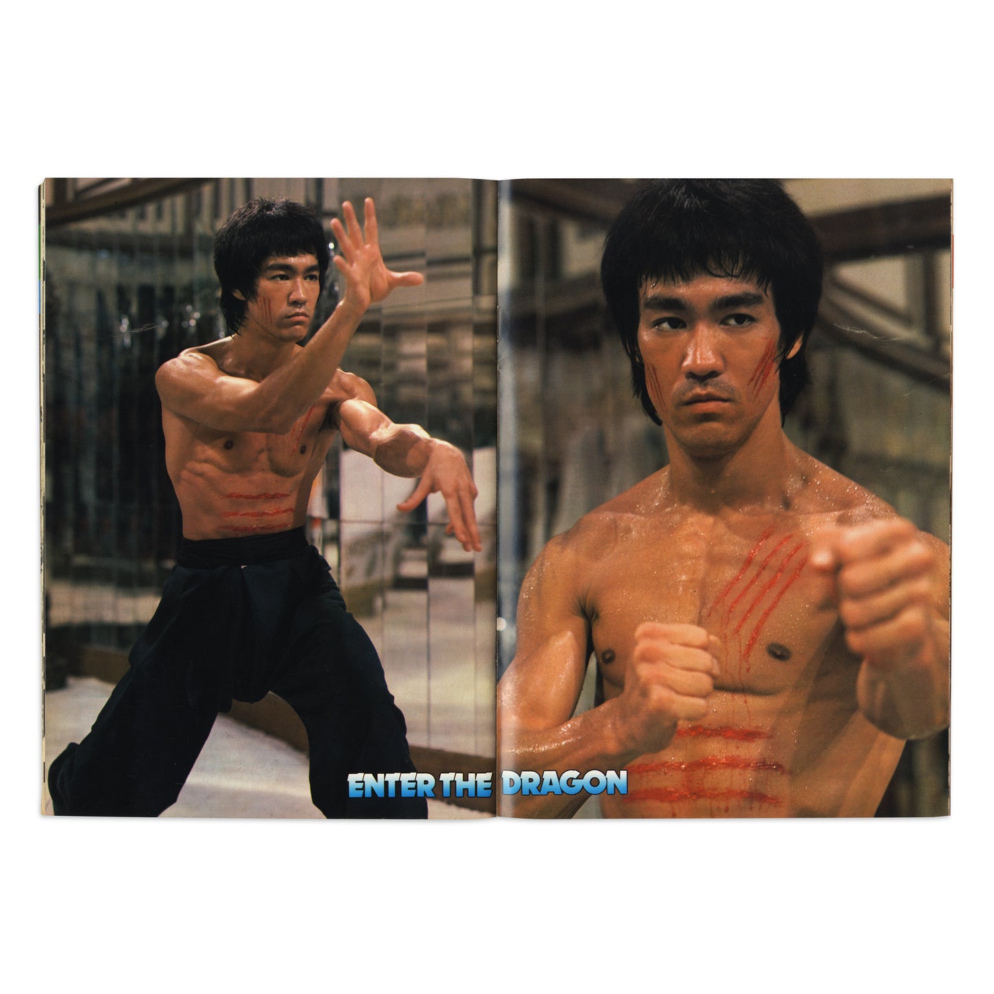 Bruce Lee Immortal