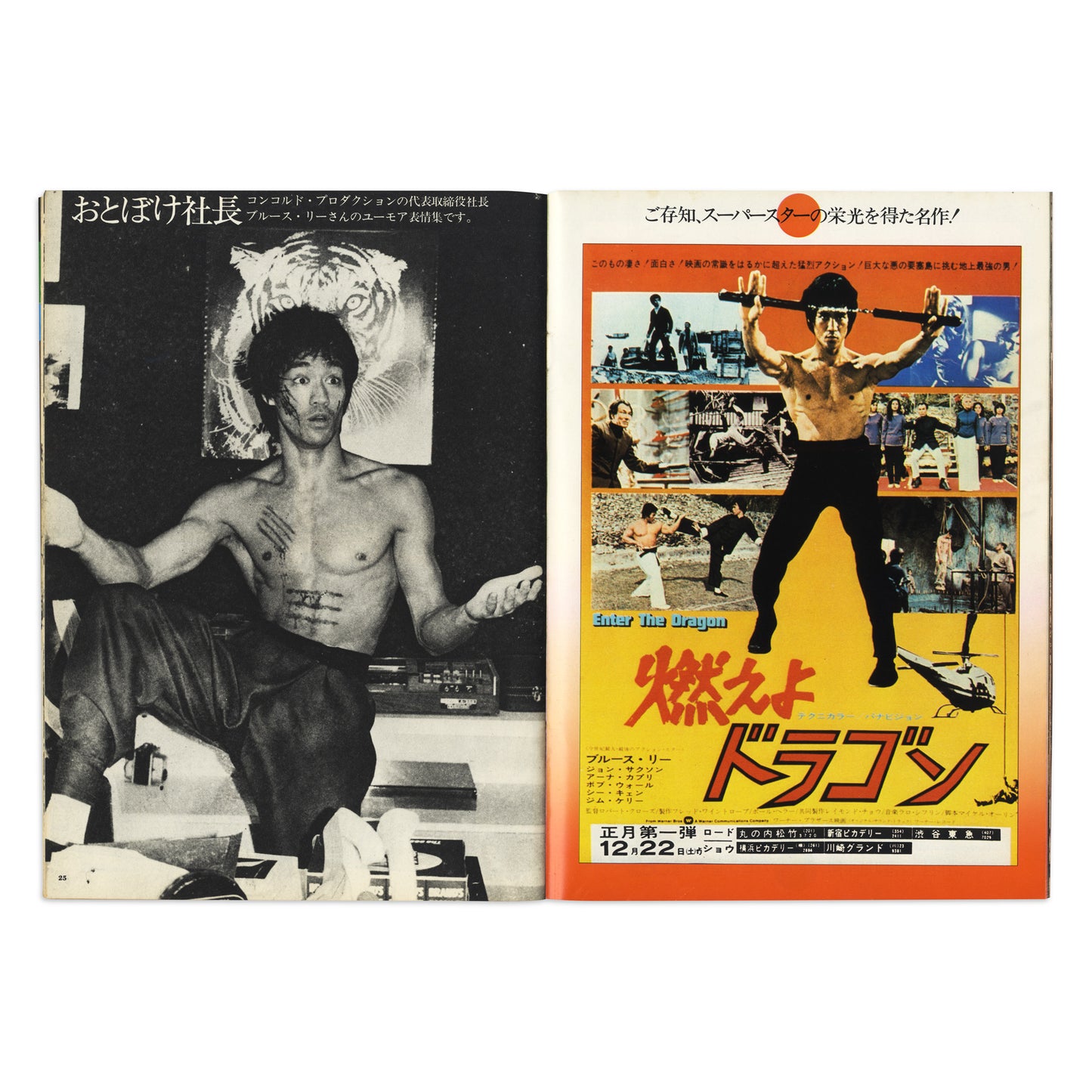 Bruce Lee Immortal