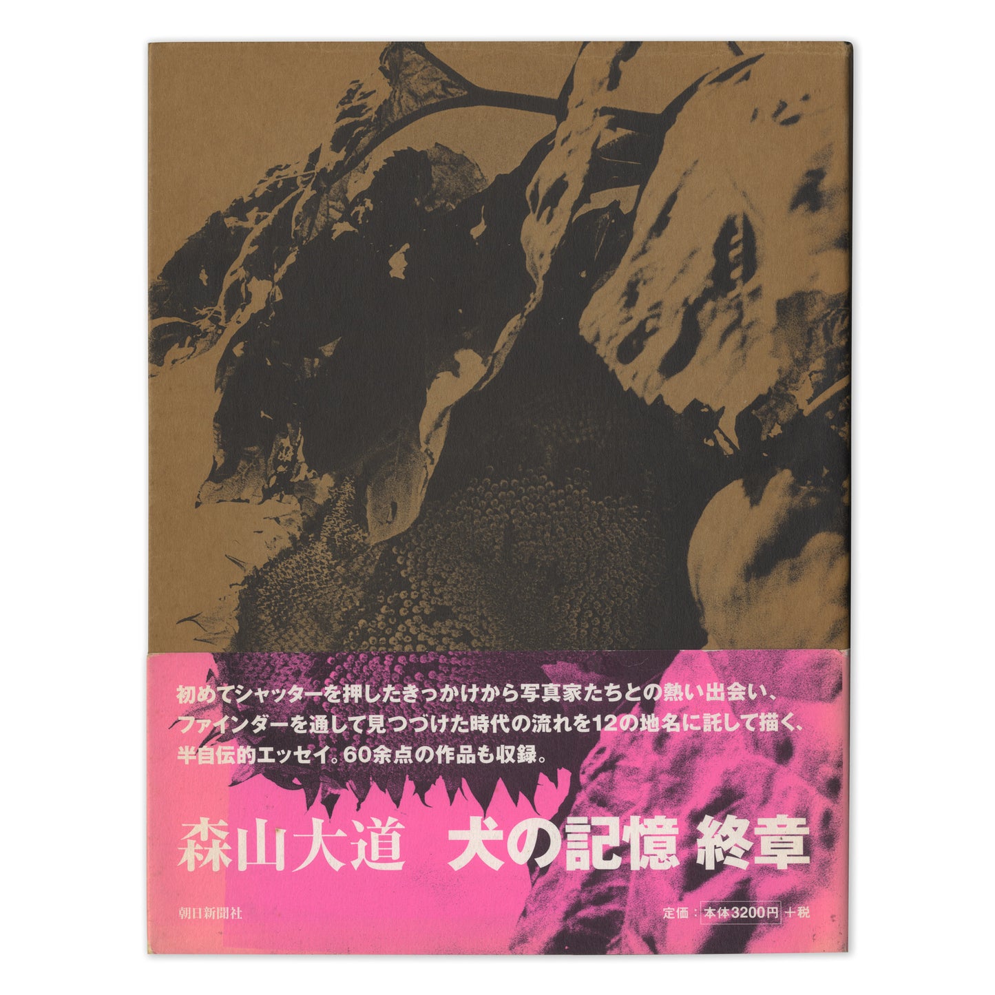 Memories of a Dog, Final Chapter