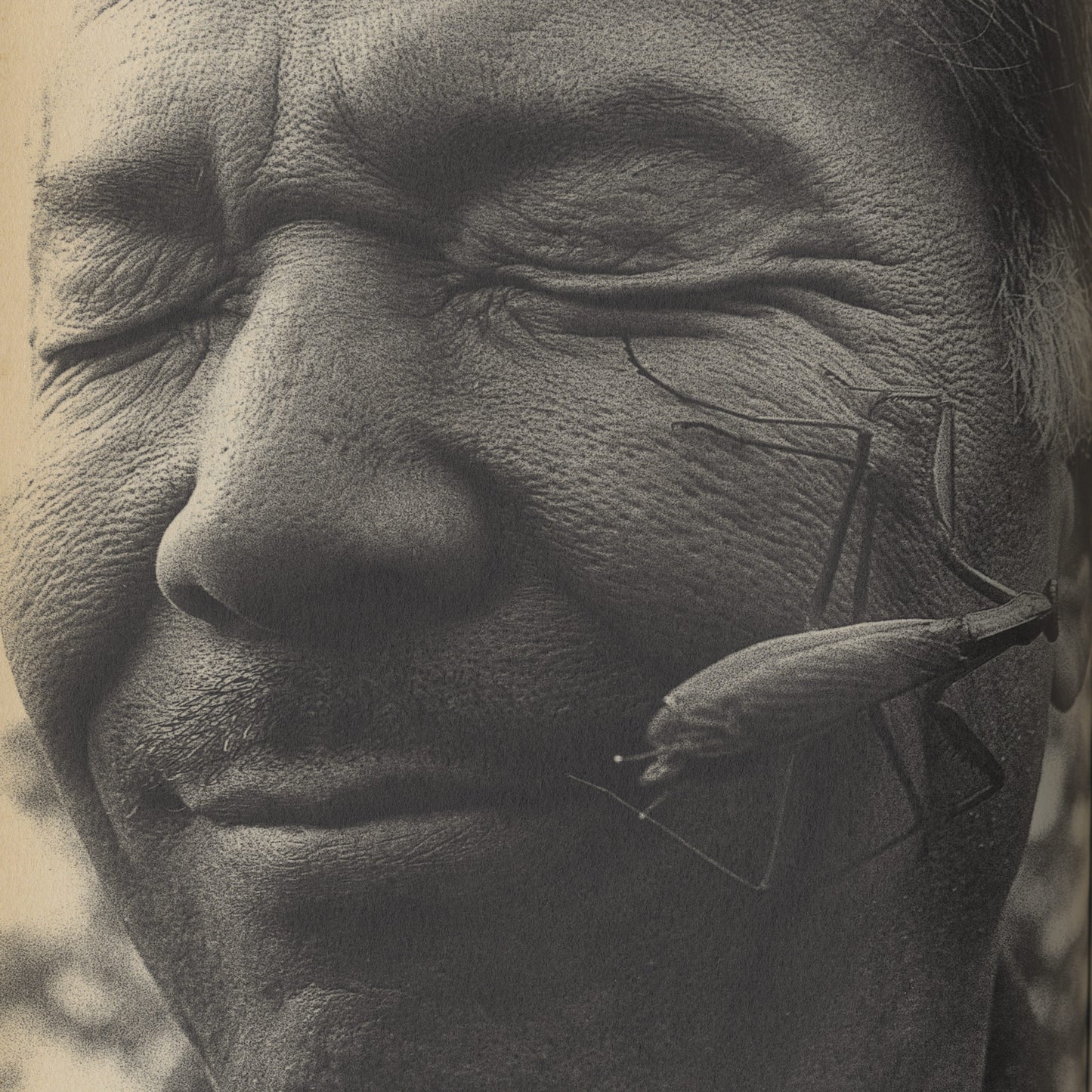 Memories of a Dog, Final Chapter