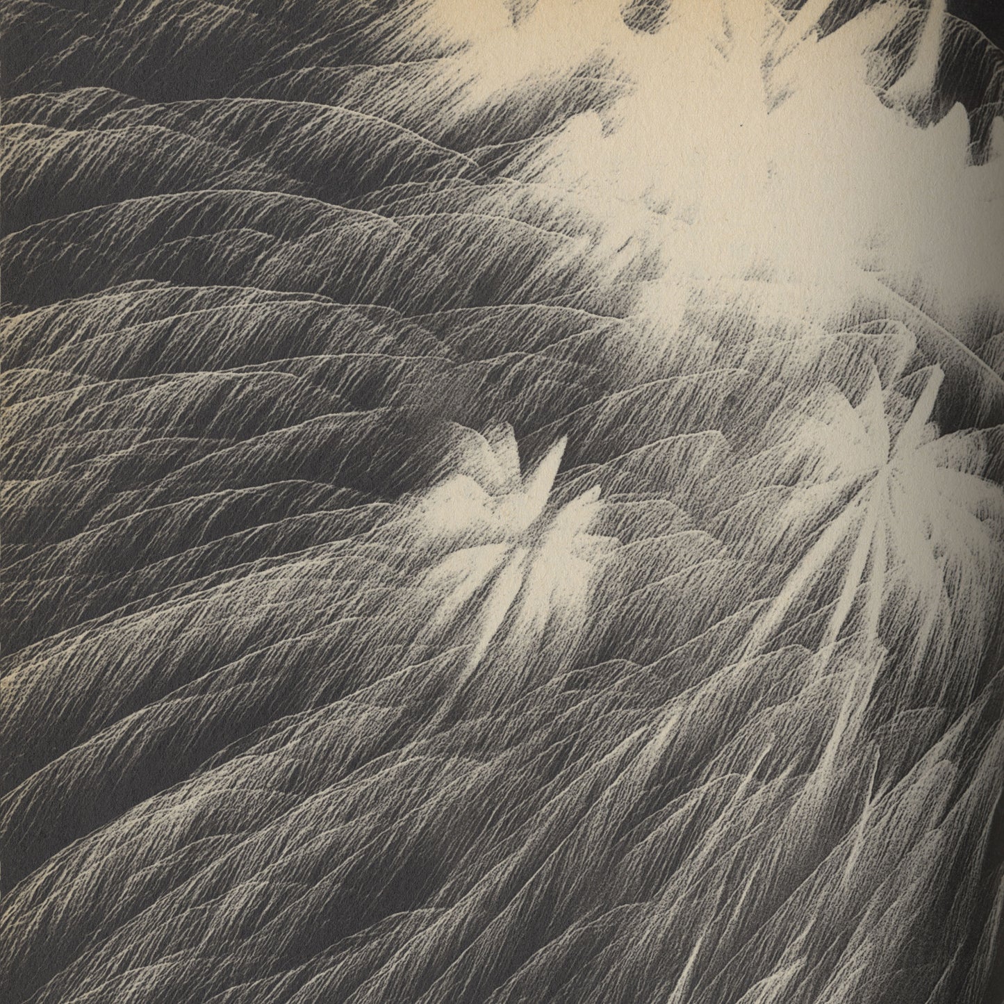 Memories of a Dog, Final Chapter