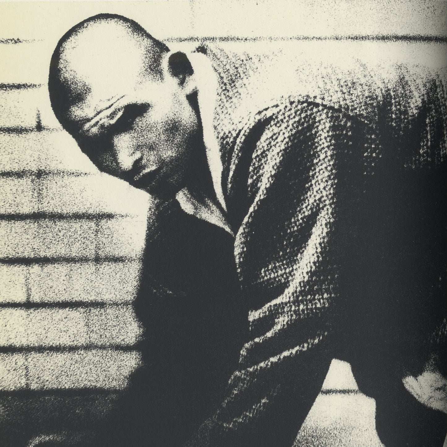 Nippon Gekijō Shashinchō (A Photo Theater)