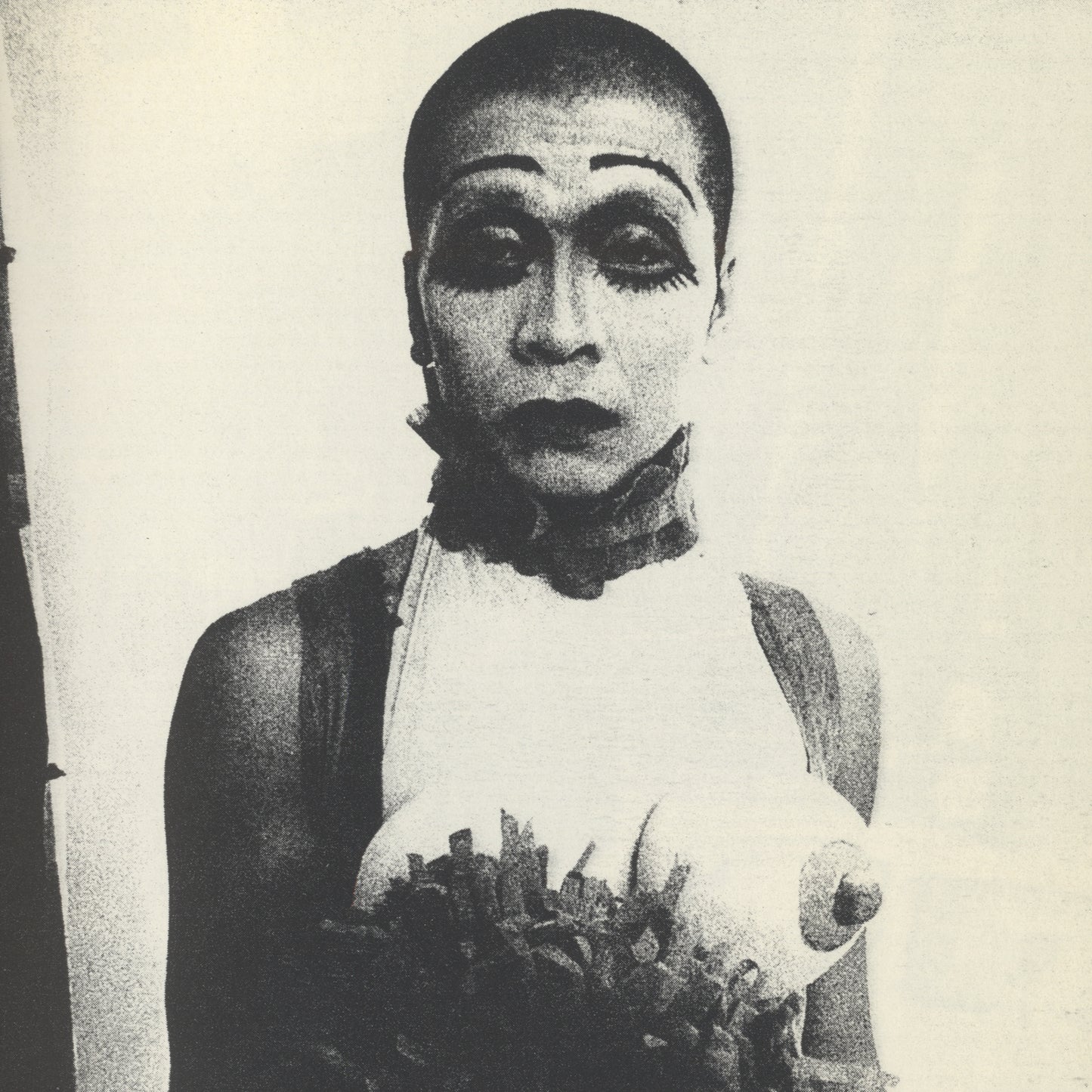 Nippon Gekijō Shashinchō (A Photo Theater)