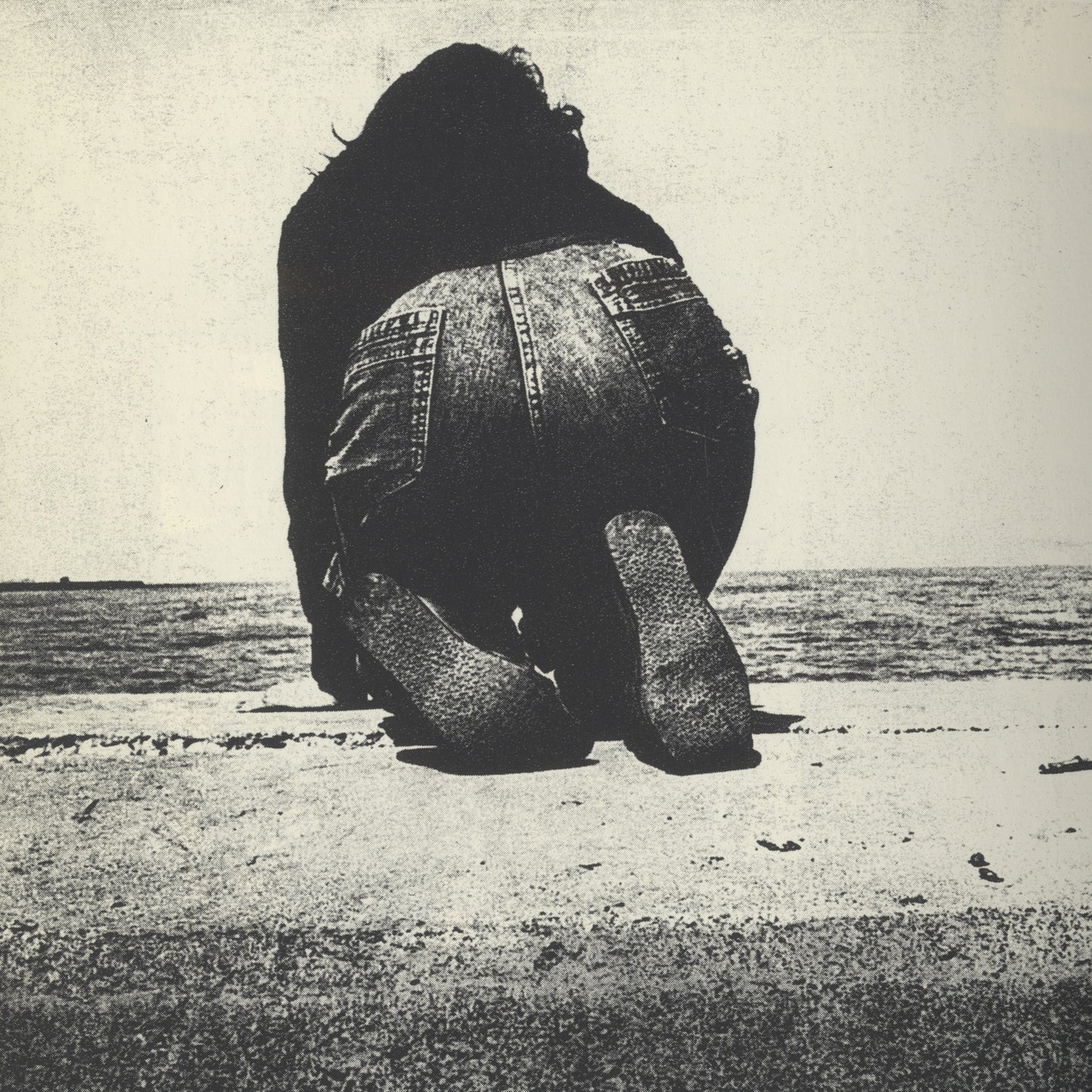 Nippon Gekijō Shashinchō (A Photo Theater)