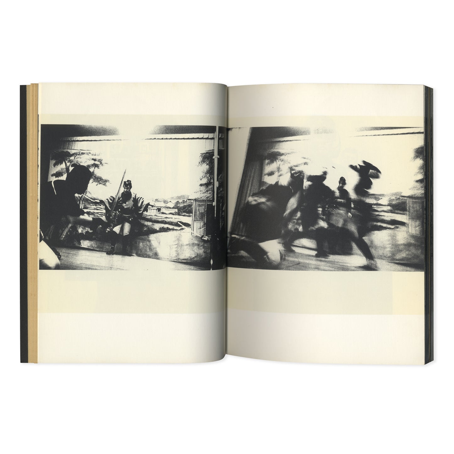 Nippon Gekijō Shashinchō (A Photo Theater)