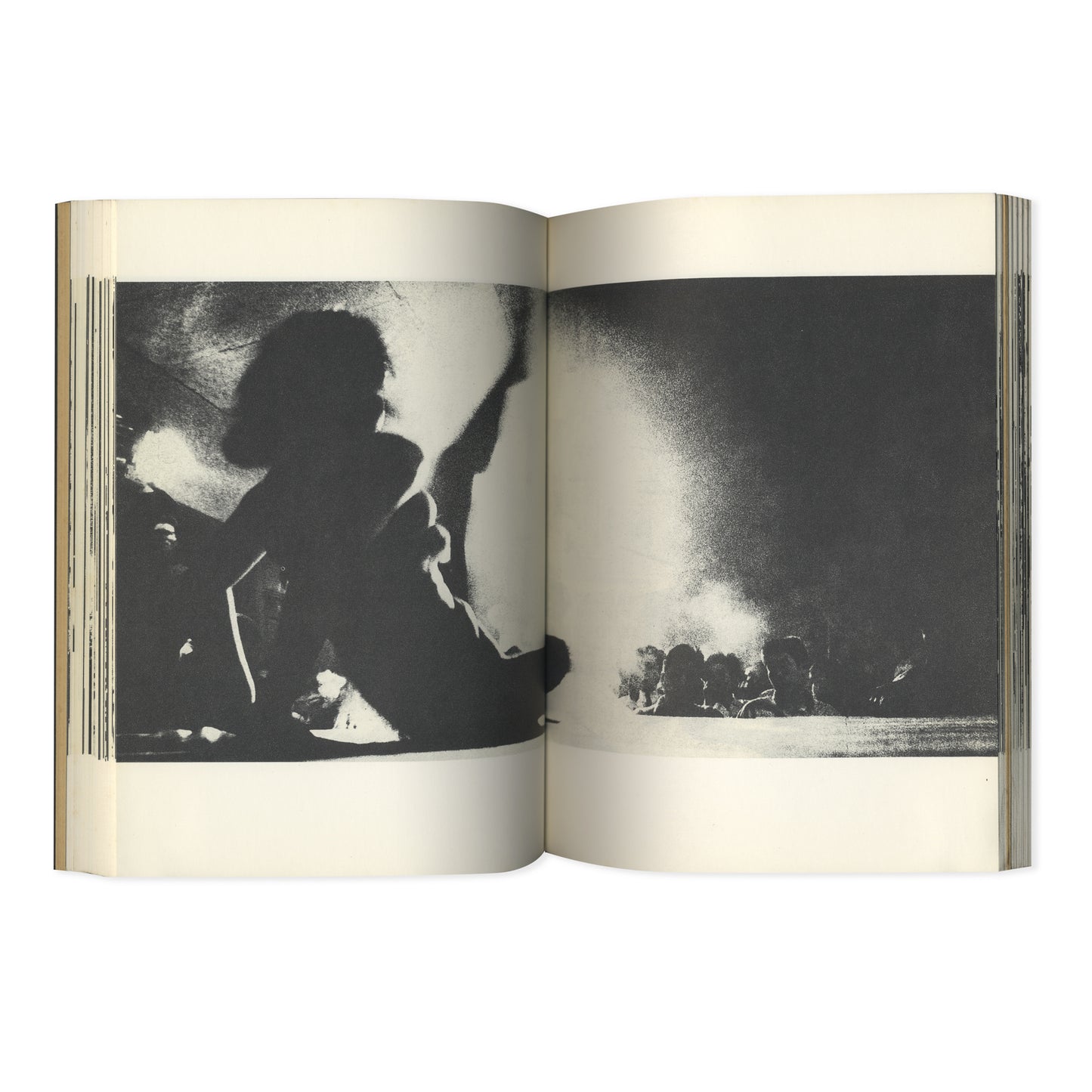 Nippon Gekijō Shashinchō (A Photo Theater)