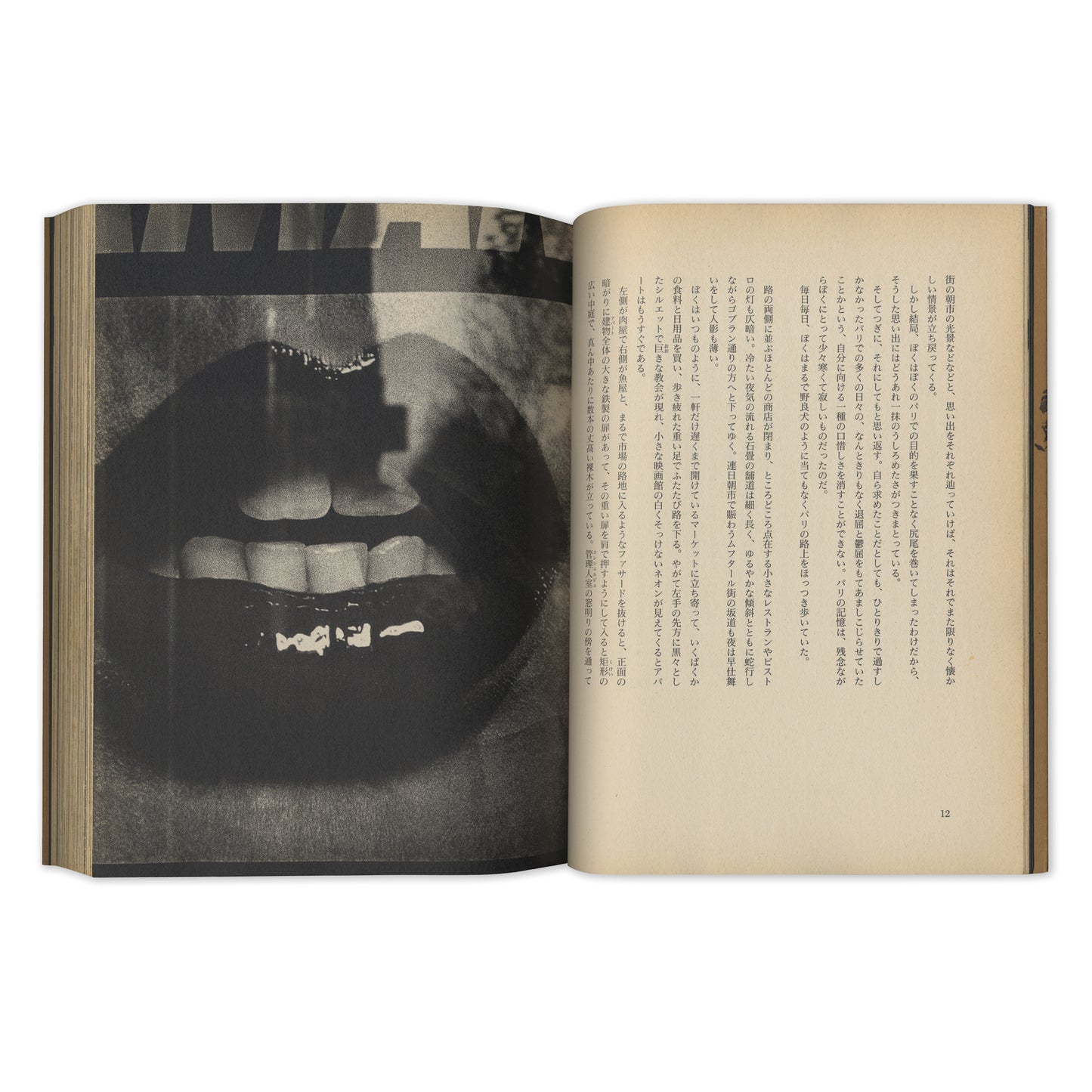 Memories of a Dog, Final Chapter