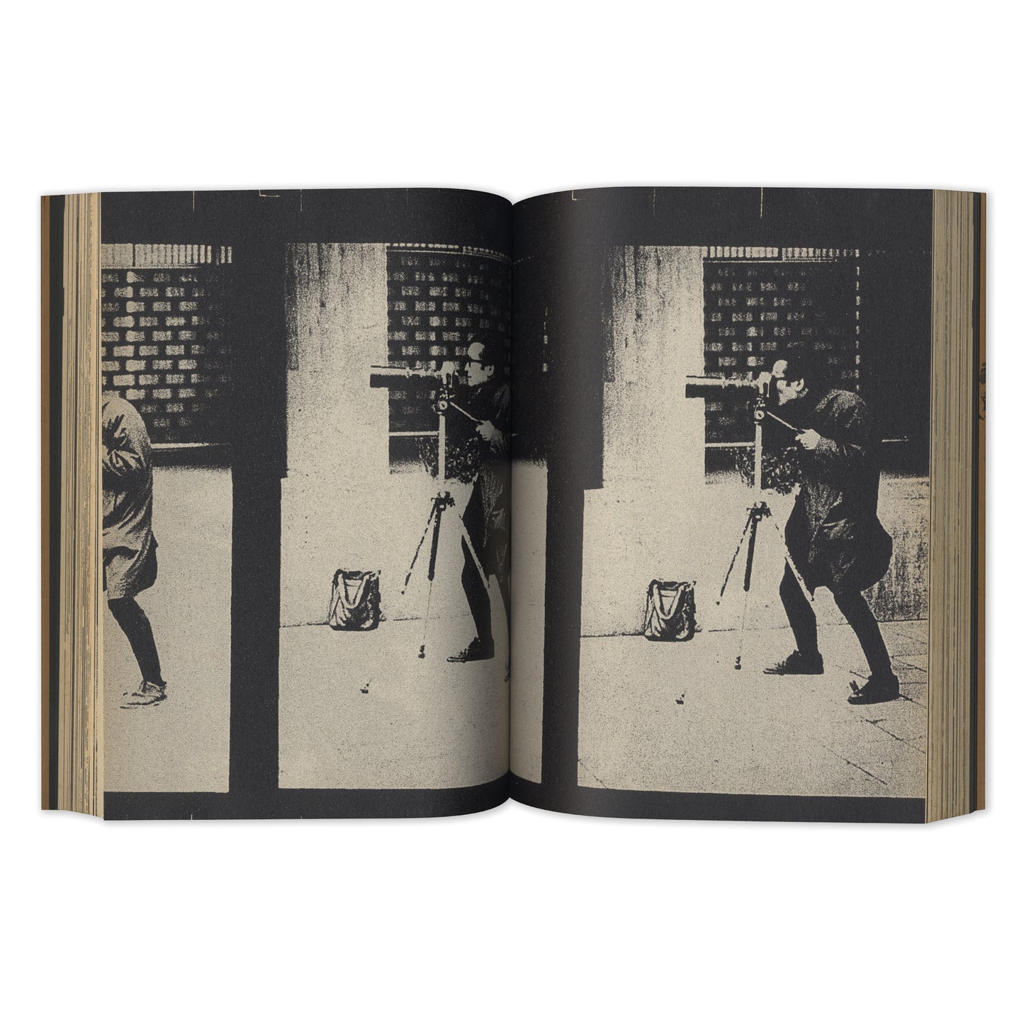 Memories of a Dog, Final Chapter