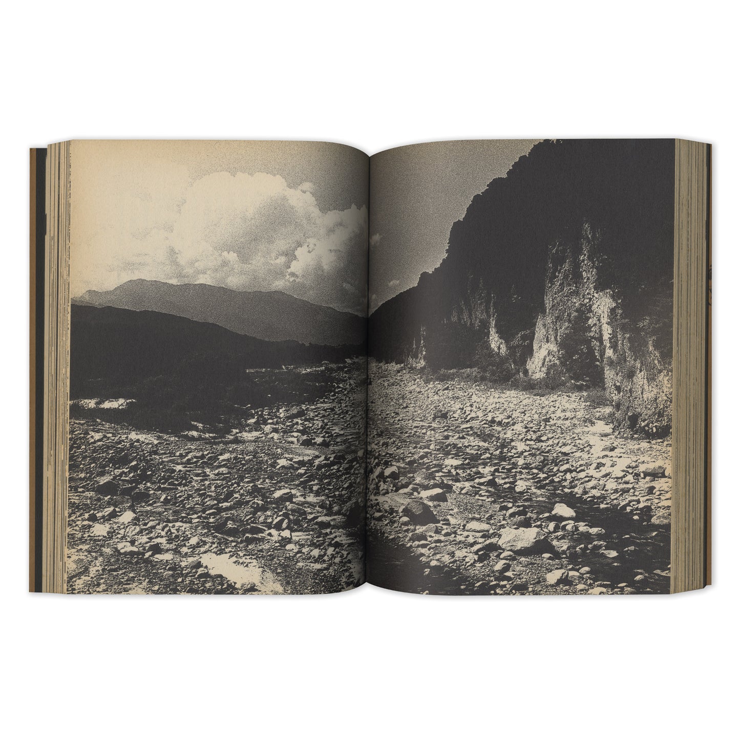 Memories of a Dog, Final Chapter