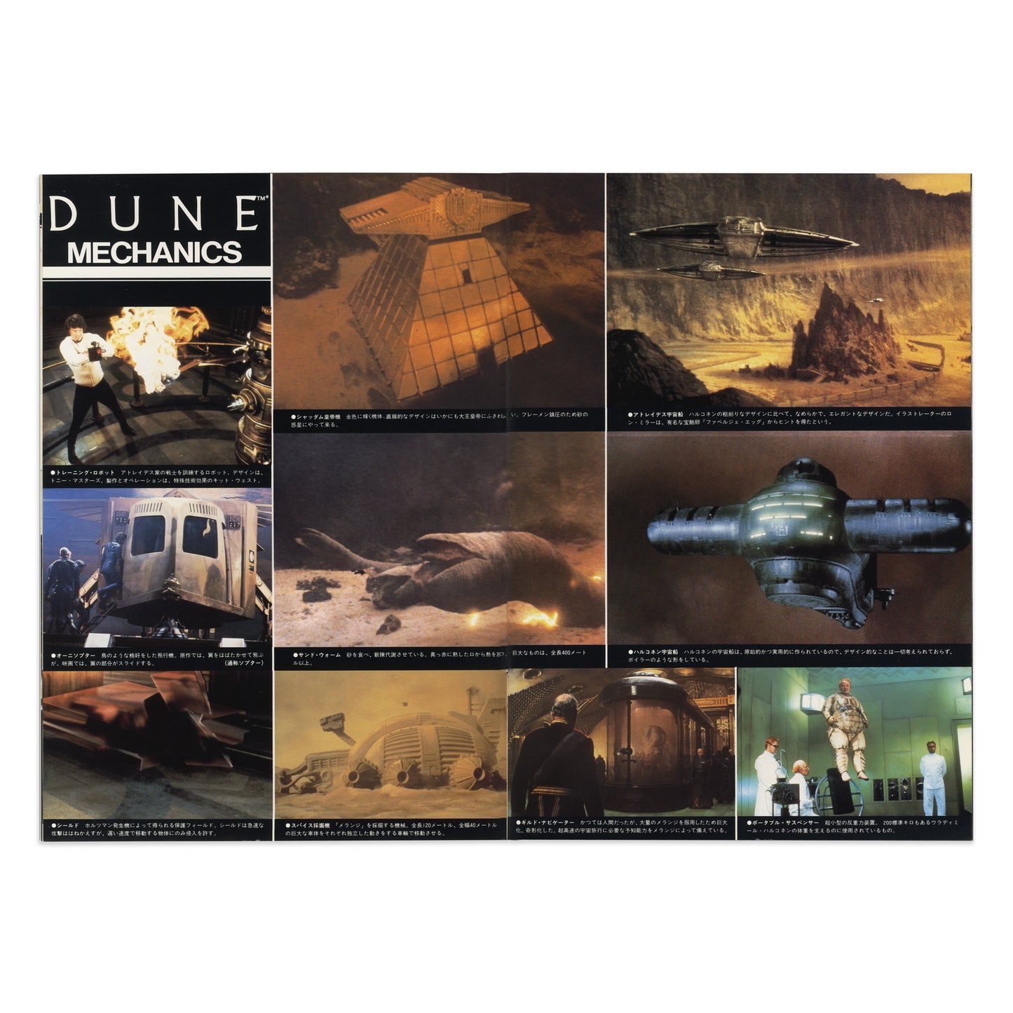 Dune