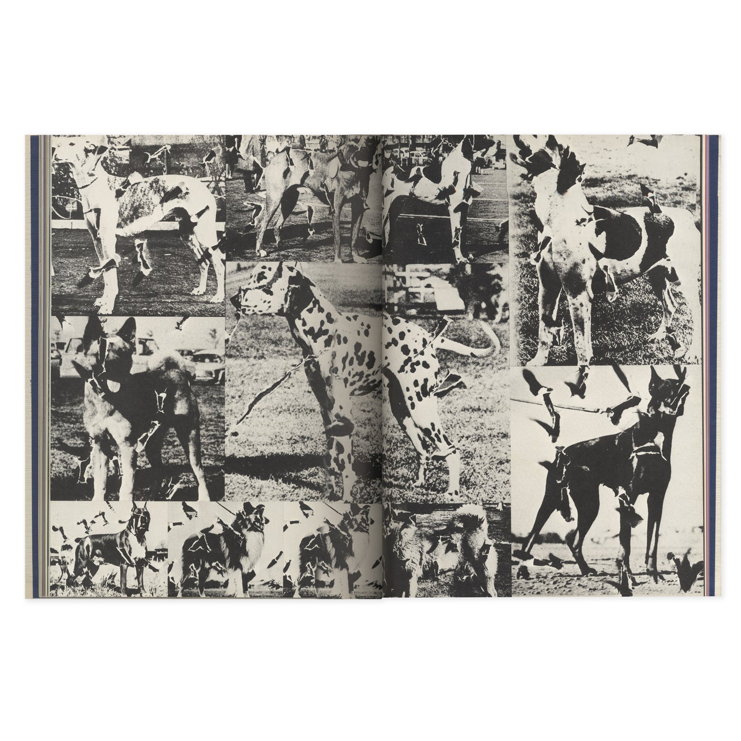 Photothèque Imaginaire de Shūji Terayama, Les Gens de la Famille Chien Dieu