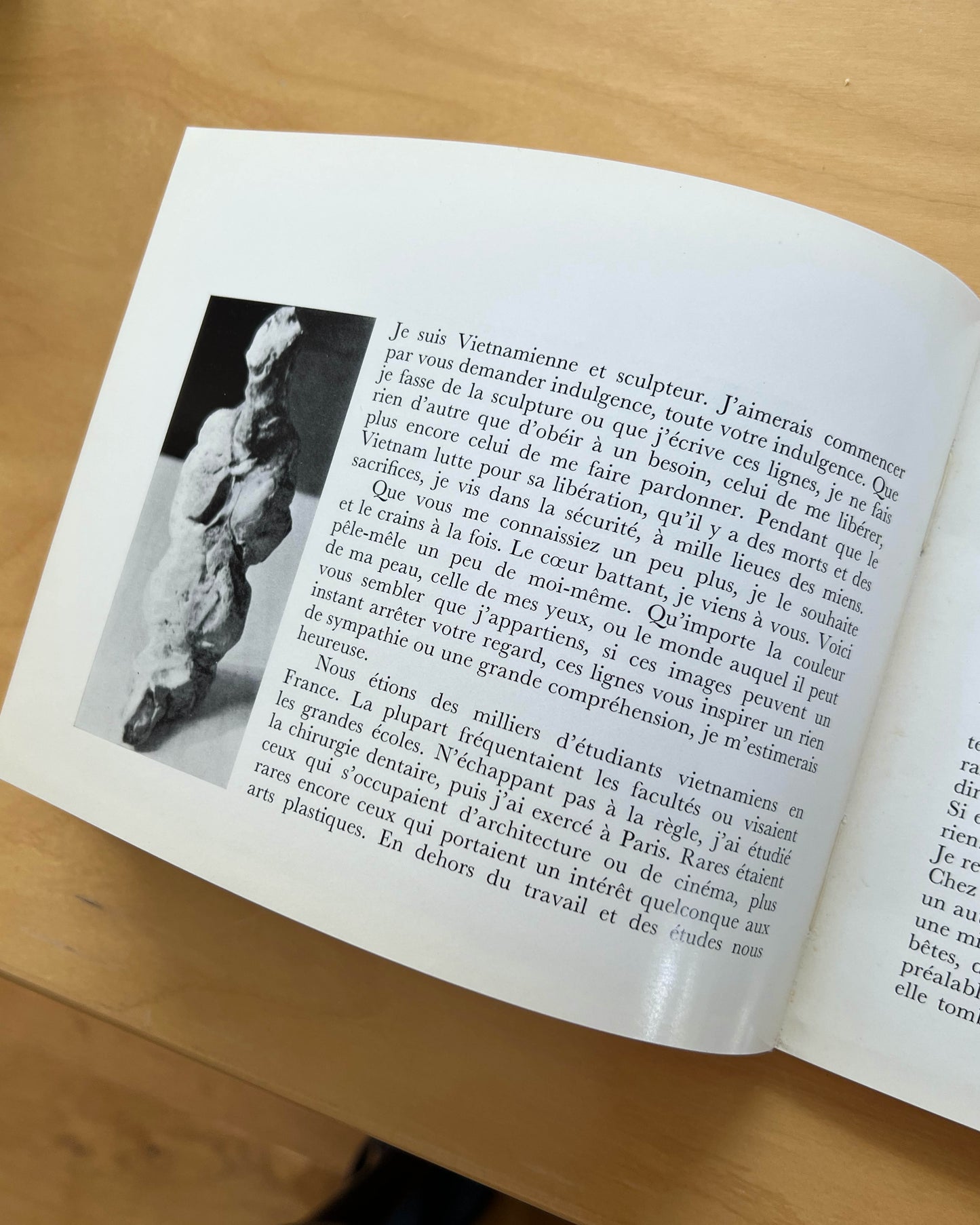 Sculptures 1960/71