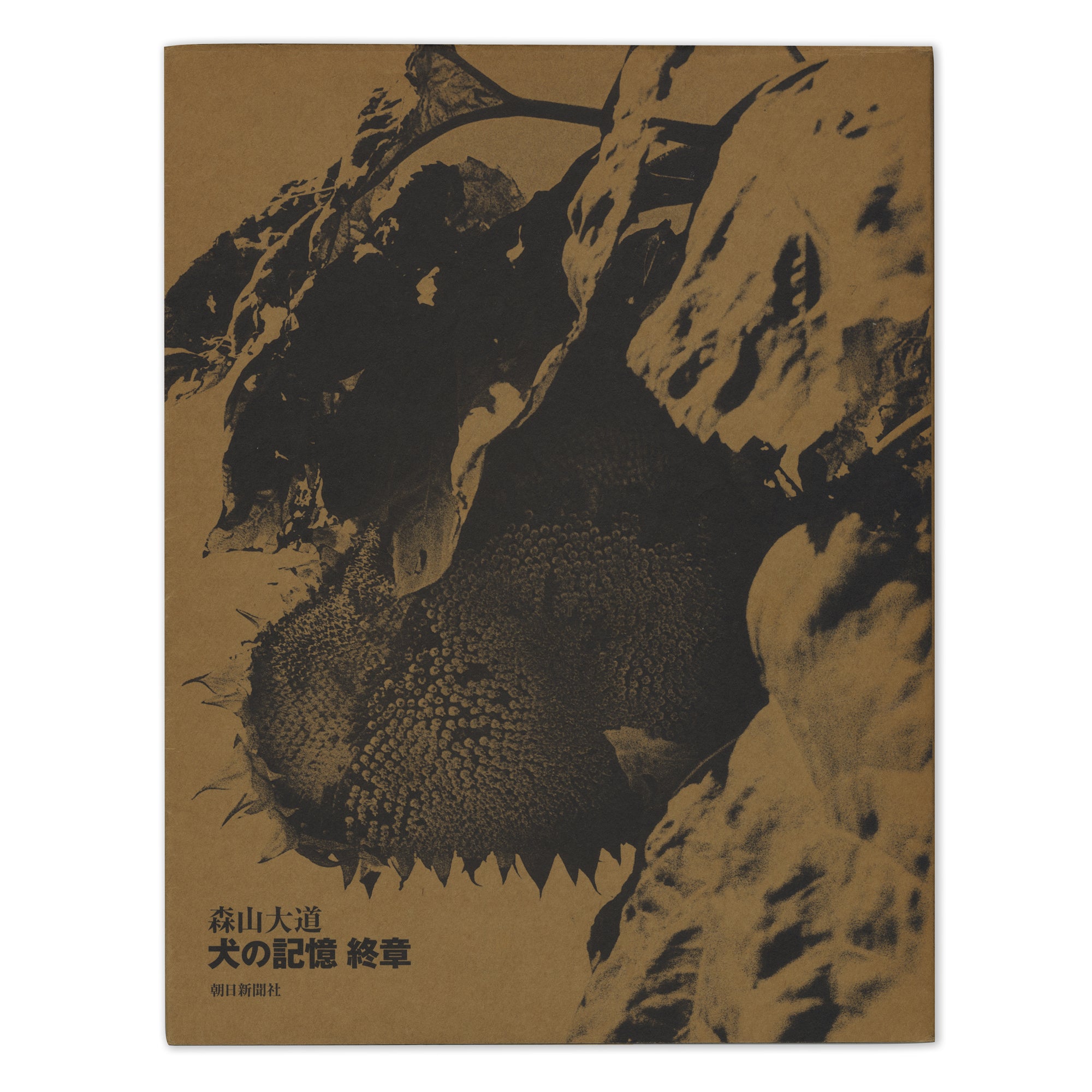 Memories of a Dog, Final Chapter – Single Eyelid